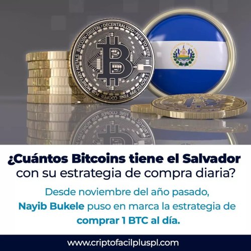 Photo post from criptofacilplus.