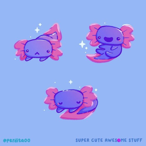 Photo post from perdita00.