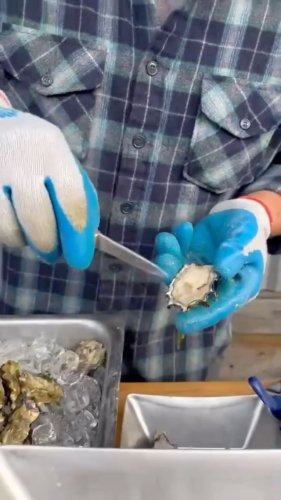 Video post from finnriver.