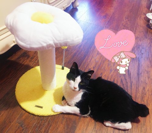 Photo post from margaritabloom.