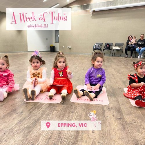 Carousel post from tinytutusballet.