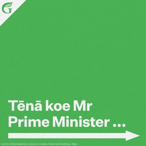 Carousel post from nzgreenparty.