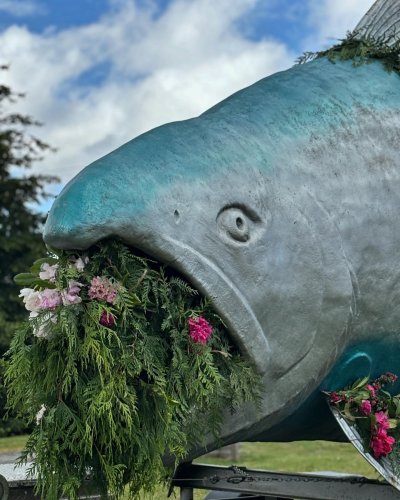 Carousel post from finnriver.