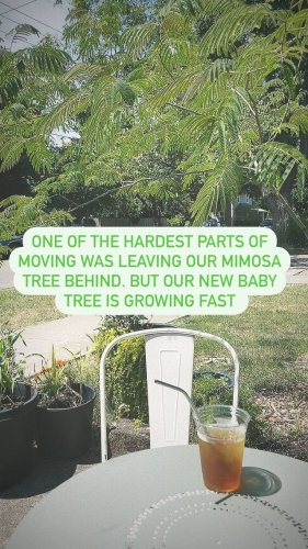 Video post from equianocoffee.