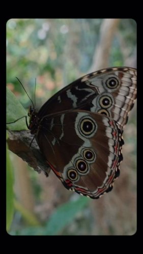 Video post from visittucson.