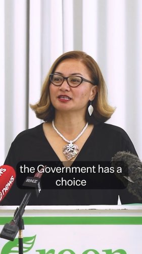 Video post from nzgreenparty.