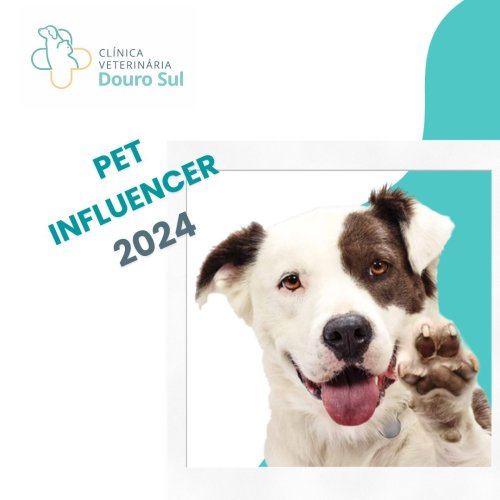 Photo post from clinica_veterinaria_dourosul.