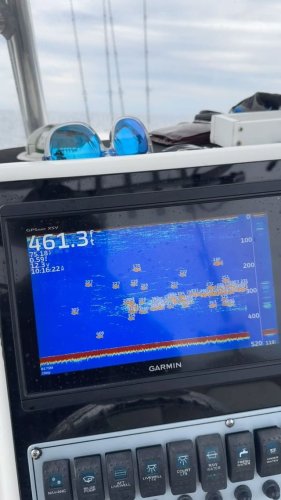 Video post from ejs_fishing_charters.
