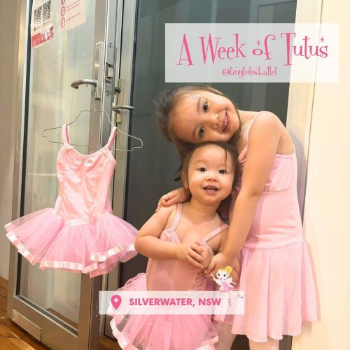 Carousel post from tinytutusballet.