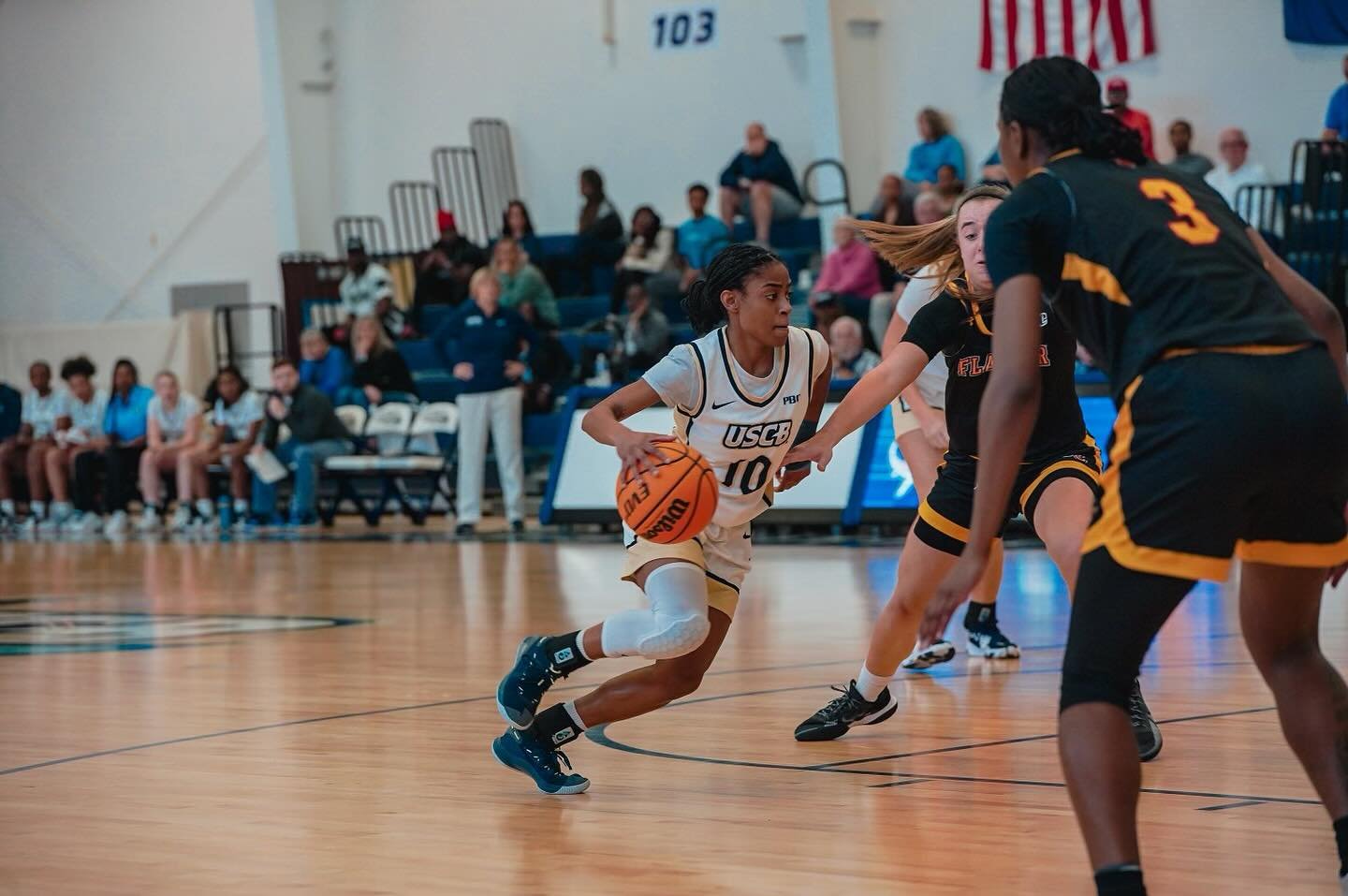 Photo post from uscbsandsharks.