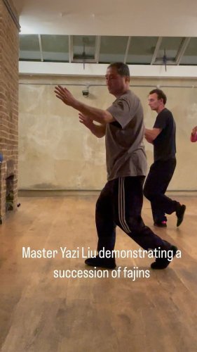 Video post from azischooloftaiji.