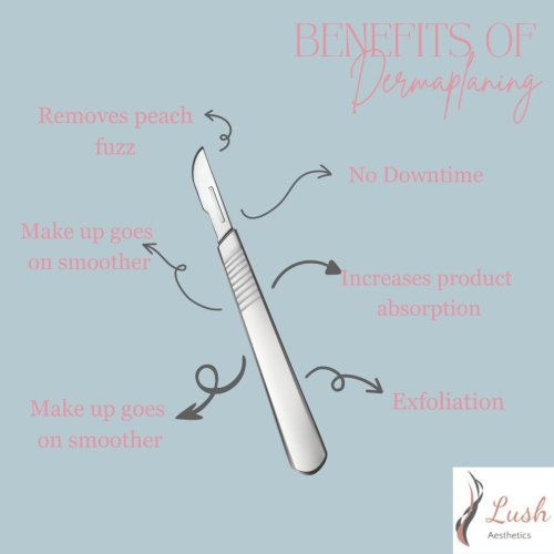 Photo post from lushaestheticsky.