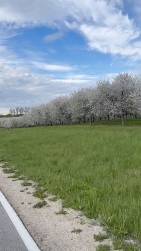 Video post.