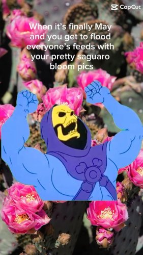 Video post from visittucson.