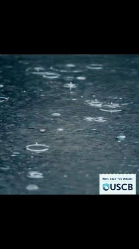 Video post from uscbeaufort.