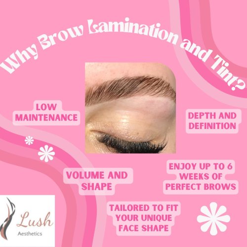 Photo post from lushaestheticsky.