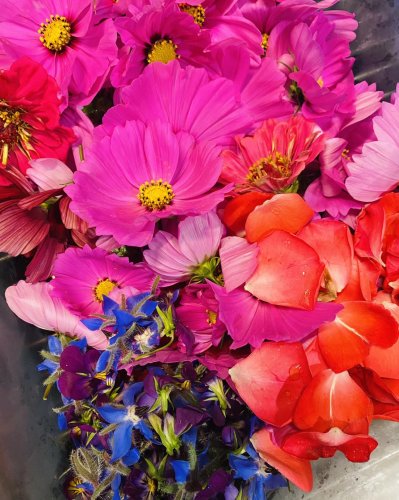 Photo post from miditreizepontarlier.