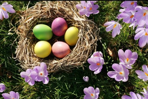 Photo post from Ellesmere House Care Home.