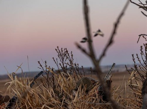 Photo post from northernskiesoutfitters.