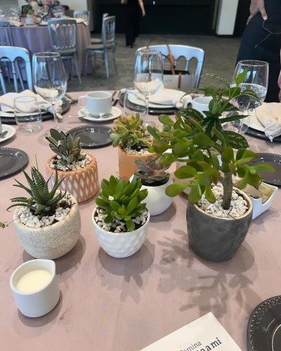 Photo post from la_gifteria.