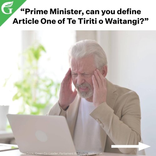 Carousel post from nzgreenparty.