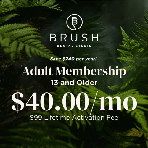 Photo post from brush.dental.studio.