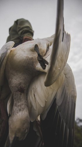 Video post from northernskiesoutfitters.