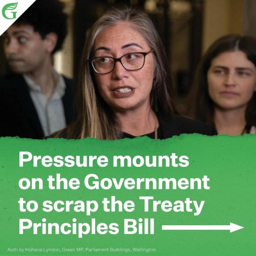 Carousel post from nzgreenparty.