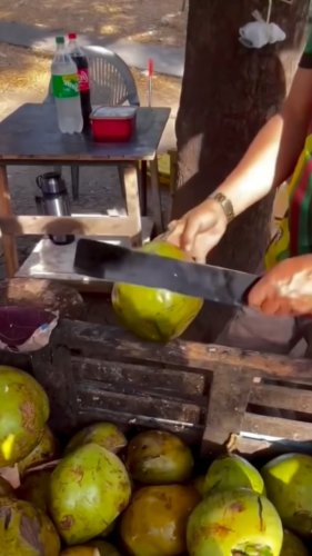 Video post from monashcoding.