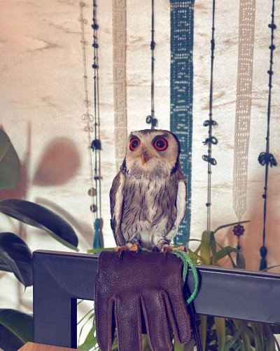 Carousel post from sun_sushi_restaurant.