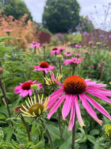 Photo post from sussexprairies.