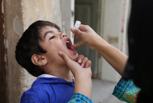 Photo post from pakfightspolio.