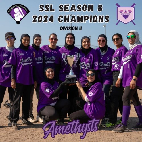 Photo post from sisterhoodsoftball.