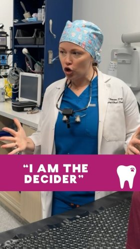 Video post from toothy.thomson.