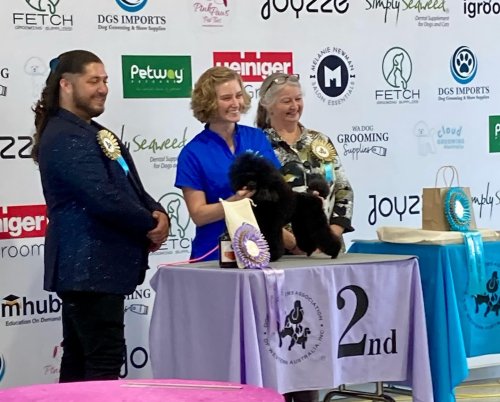 Carousel post from k9playtimedoggydaycare.