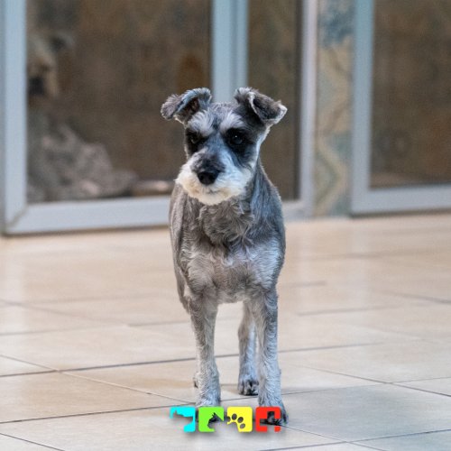 Photo post from medicalpettj.