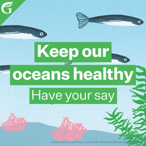 Photo post from nzgreenparty.