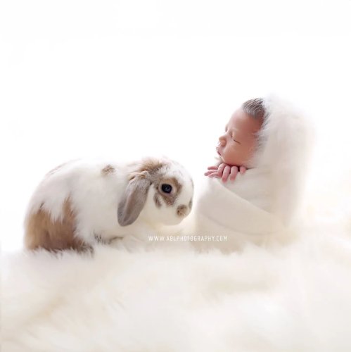 Photo post from abl_photography_sandiego.
