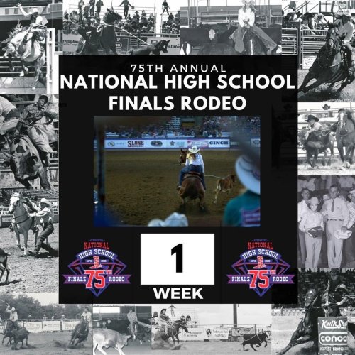 Photo post from reddirthatco.