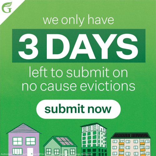 Photo post from nzgreenparty.