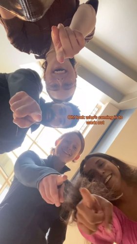 Video post from cactaborcenter.