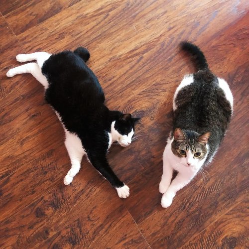 Photo post from margaritabloom.