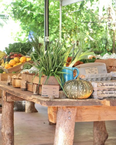 Carousel post from currumbinvalleyharvest.
