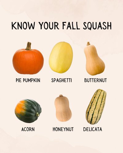 Photo post from farmbox_arizona.