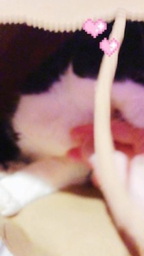 Video post from margaritabloom.