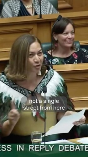 Video post from nzgreenparty.