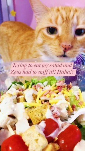 Video post from margaritabloom.