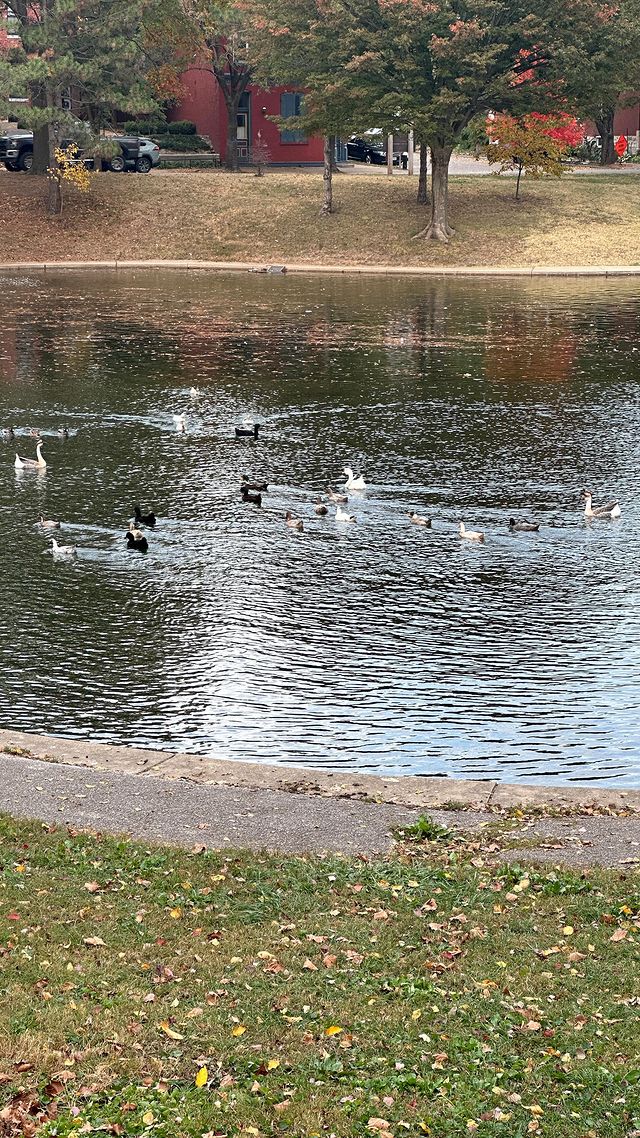 Video post from chicagochurchofchrist.