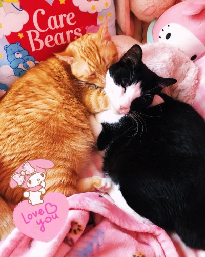 Photo post from margaritabloom.