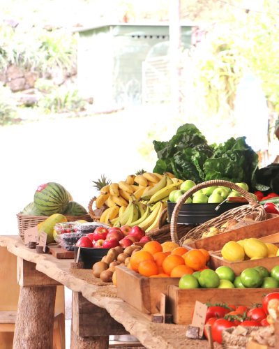 Carousel post from currumbinvalleyharvest.